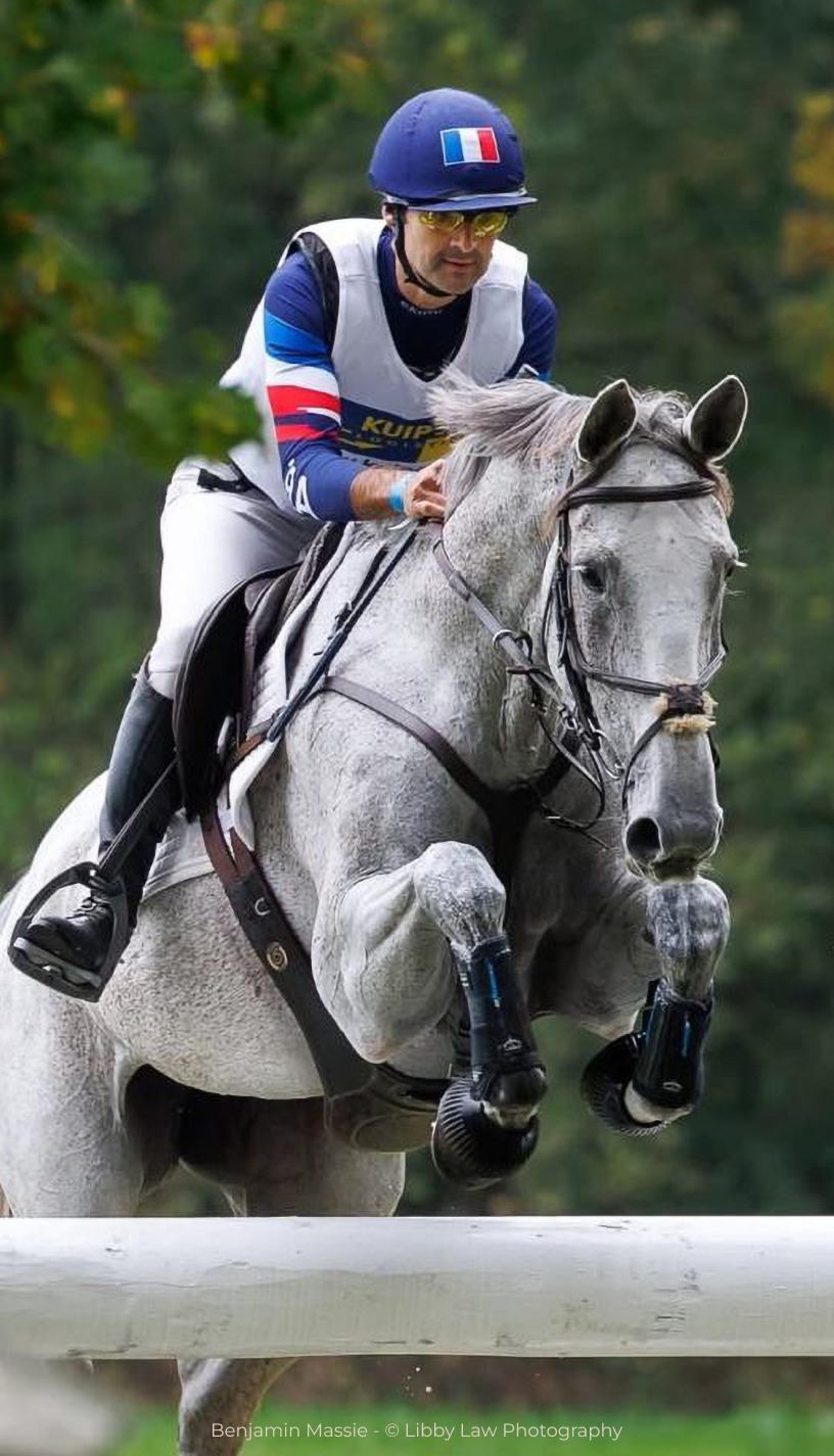 Soins naturels pour animaux